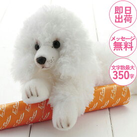 ［プードルのぬいぐるみ電報］結婚式 誕生日 おしゃれ 祝電 結婚祝い 犬 人形 プードル 卒業式 入学式 合格 開店 昇進 出産祝い あす楽【パイックス】