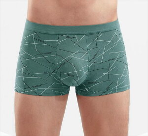 {NT[pc Y eF1Av4Zbgg Y {NT[ {NT[u[t 4g OԂ   jp pc Y ܂Ƃߔ Mtg v[g 蕨  ubN O