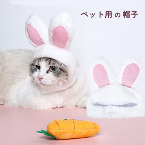 L Ԃ  LpXq pXq L蕨   EBbO Xq ϐg RXv nEB ybg lR Ck RX`[  SNS f ^  L ybg 킢