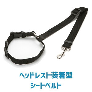 ybg V[gxg ԗp[h wbhXg^[h pi ybgpi L  ubN Sxg hCu  U ^ ^ яoh~ o Lp Ԑp[h 