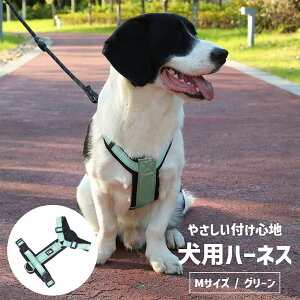  n[lX ^ pn[lX  U ^ ^ h~  nht \tg   ^ ^ 