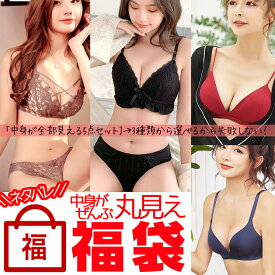 在庫限りでさらに値下げ【2999円→2093円】残りCセットのみ【12/4 9:59迄 15%OFF＆Pバックでダブルでお得】 中身が丸見え 失敗しない 選べる福袋 レディースインナー ブラジャー ショーツセット ノンワイヤー ブラジャー ナイトブラ 福袋 ネタバレ 中身が見える福袋 売切り