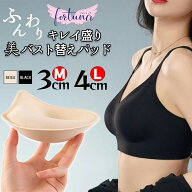 ブラパッド 盛れる パッド 美胸 バストアップ シームレス スポンジ 軽量 下着用 補整 Aタイプ Bタイプ 左…