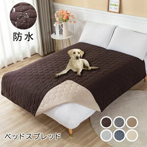 yLOiIzxbhXvbh xbhJo[ V[c VO hV[c Lg }bgXJo[ }`Jo[ n h ʋC z ~ 􂦂 \t@[Jo[ hoJo[ 