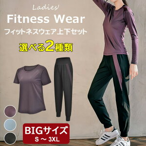 X|[cI΂ɕLpł܂ Iׂ2 ㉺Zbg 2_Zbg   X|[cEFA GNTTCYEFA KEFA tBbglXEFA r g[jOEFA 