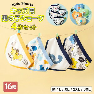 wO͂Act̂ɂIׂ16 4Zbg j̎q  LbY qp u[t pc V[c Rbg   VxJ[ u[t pc  