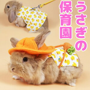 ̕ۈ牀 |VFbg Xqt XbN { n[lX xXg s[X Ђ长   U[h p ETMp [h n[lX n[lX ybgEFA 