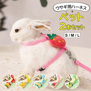 C`SjW̃}XRbgL[gIׂ5 2gZbg pn[lX [h 2_Zbg p ep ^b`obN }XRbgt ybgpi ɂ񂶂  ʕ 