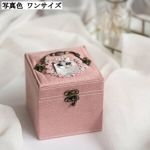 LfUC WG[[{bNX RpNg  xA Δ fB[X  `[J[[ y gїp