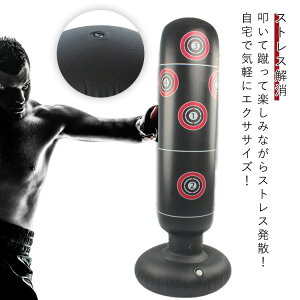 サンドバッグ 自宅 フィットネス」の人気商品一覧・価格比較 - 価格.com