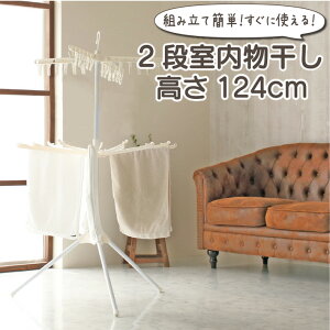   ܂ X^h RpNg 2i p\ Hsv gݗ ȒP nK[  124cm@16{| 24s`1i ^Ngbv L~\[@ȃXy[X  ^I@