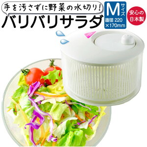 T_Xsi[ RpNg ؐ؂ ؂  { ooT_ M a220×170mm RH 蓮 ؂ ] T_ Lb`  zCg NA ؃U {E 