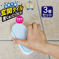 【ポイント2倍】【3個セット】【楽天1位】 玄関 タイル 掃除 ブラシ 玄関掃除 送料無料 外壁 クリーナー …