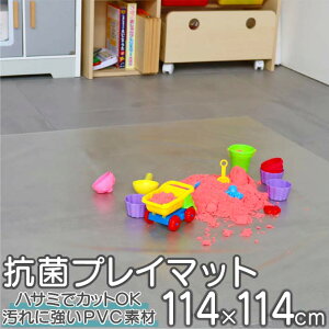y|Cg10{zvC}bg R q 114×114cm PVC  qǂ ǂ Rۃ}bg H fXN}bg NA Sy G`  Hׂڂ ɋ n LYh~  t[
