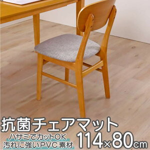 yX[p[Z[z`FA}bg R NA  114×80cm PVC }bg @ h~ ֎q ی ɋ @ ڗȂ Rۍ Gۂ̔ɐBƏL̔} nT~ŃJbg