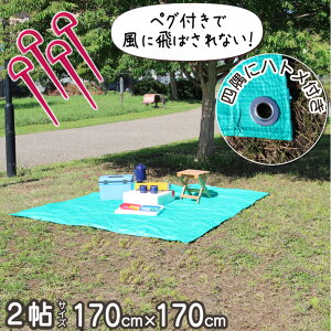 レジャーシート 大きい 大判 170 × 170 cm 2~4人 2人用 送料無料 大人数 花見 お花見 イベント 雨よけ 車 カバー ペグ穴付き ピクニックシート 遠足 運動会 アウトドア 公園 無地 グリーン キャン
