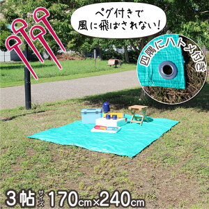 W[V[g 唻 傫 240 × 170 cm 4~6l l Ԍ Ԍ Cxg J悯  Jo[ yO ngt sNjbNV[g  ^ AEghA@n O[ Lv  B-30 s