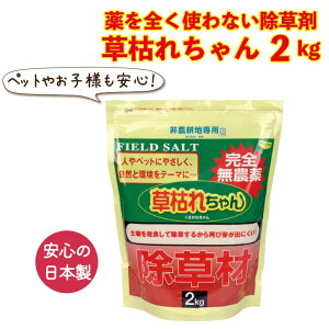   _ G  ͂ꂿ 2kg  ybg q S VRf {    EZ~bN Œ 10 G쏜 _kn ԏ H  󂫒n  