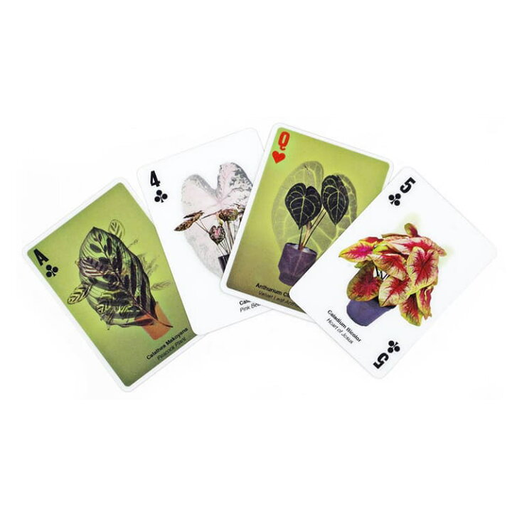 楽天市場】トランプ カード KIKKERLAND 3D Cards キッカーランド 3D 
