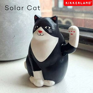 KIKKERLAND LbJ[h \[[Lbg Solar Cat \[[ Lbg L lR IuWF G U  ˂ u tBMA l` L \[[pl z  킢 