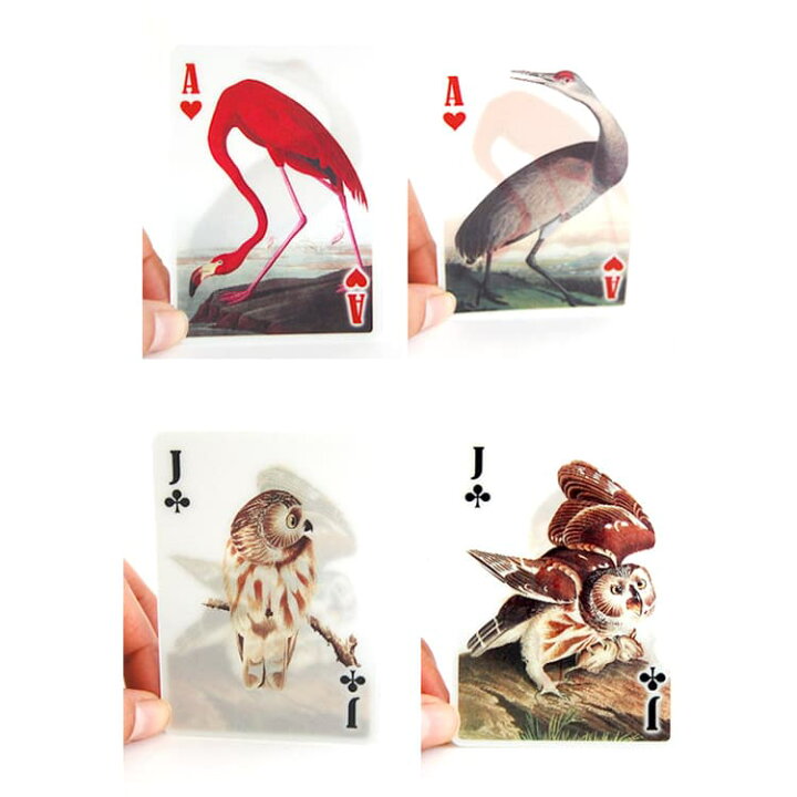 楽天市場 ネコポス 0円 トランプ 3d Bird Cards 3dバードカード Kikkerland キッカーランド Kgg113 トランプカード プレイングカード 鳥 絵 イラスト 野鳥 オーデュボン アメリカ 画家 レンチキュラー おしゃれ デザイン カードゲーム おもちゃ フォーアニュ