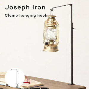 ACAX^h ݂艺X^h Nv ^ ϗtAp fBXvCX^h Joseph Iron WZtACA NvnMOtbN ԑ  AeB[N i`