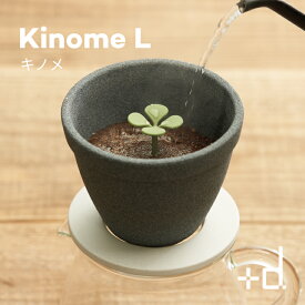 コーヒー ドリッパー kinome L キノメL 4杯用 ペーパーレス 紙 フィルター 不要 日本製 セラミック コーヒー フィルター 磁器 陶器 コーヒードリッパー +d プラスディー ドリップ 器具 道具 おしゃれ かわいい 木の芽 アッシュコンセプト ギフト キャンプ