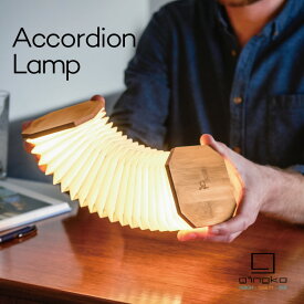 Accordion Lamp アコーディオンランプ GINGKO GNK040004 LEDランプ LED 照明 充電式 USB充電 ウッド 木 シンプル おしゃれ