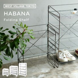 HABANA FOLDING SHELF ハバナフォールディングシェルフ 3段 折り畳み 折りたたみ 壁掛け 床置き アイアン 鉄 壁面収納 スニーカー 植物 本 経年劣化 収納 クリア塗装 かっこいい 男前 無骨 インダストリアル