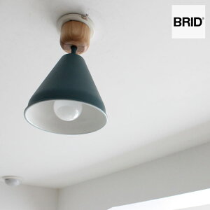 COLOR & WOOD 1BULB CEILING LIGHT idȂj1841 dʔ E26 60W×1 60W LEDΉ\ 1 J[Ebh1ouV[OCg