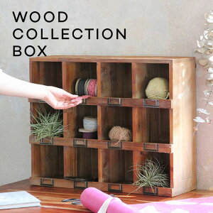 I ؐ 60cm AeB[N Íޕ I Ǌ| EH[VFt i` ؐbN I[vbN [I RNVP[X SOW EbhRNV{bNX 