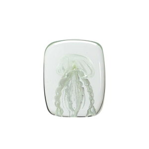 KX IuWF NQ u CeA WF[tBbV cCXgbOƕV̂邨ȃKXIuWFy[p[EFCg  C  Vv 킢Jelly