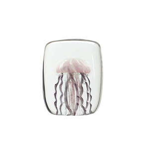 KX IuWF NQ u CeA WF[tBbV cCXgbOƕV̂邨ȃKXIuWFy[p[EFCg  C  Vv 킢Jelly