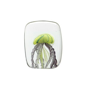 KX IuWF NQ u CeA WF[tBbV cCXgbOƕV̂邨ȃKXIuWFy[p[EFCg  C  Vv 킢Jelly