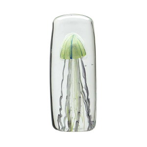 KX IuWF NQ u CeA WF[tBbV cCXgbOƕV̂邨ȃKXIuWFy[p[EFCg  C  Vv 킢Jelly