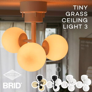 �V�[�����O���C�g 3�� TINY GLASS CEILING LIGHT 3 �^�C�j�[�K���X LED�d���Ή� �K���X�V�F�[�h ���r���O �_�C�j���O �q������ 6�� ���_�� �i�`������ �N���V�b�N �z���C�g �u���b�N �N���A �A���o�[ 