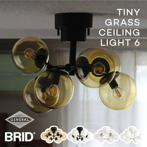 �V�[�����O���C�g 6�� TINY GLASS CEILING LIGHT 6 �^�C�j�[�K���X LED�d���Ή� �K���X�V�F�[�h ���r���O �_�C�j���O �q������ 10�� ���_�� �i�`������ �N���V�b�N �z���C�g �u���b�N �N���A �A���o�[ 