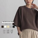 【20％OFFクーポン 15日23:59迄】スウェットライク ハーフスリーブ ニット プルオーバー レディース トップス セーター スウェット クルーネック 五分袖 着回し リサイクルポリエステル エコ 25S/S 春 夏 秋 M L LL サイズ 洗濯可 for/c フォーシー 楽天room
