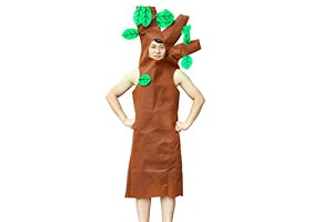 yz[Speed mao]   RX`[  p[eB[  Ȃǂ t[TCY