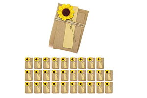 yzSpeed mao  Ђ܂ bZ[W J[h O[eBOJ[h 30 Zbg