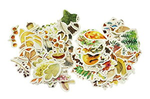 yznavire  e tCNV[ 216 H I[^ G V[ XebJ[