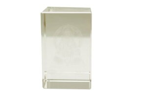 yzspeed mao NX^KX J^ Ch _l  Kl[V IuWF u CeA