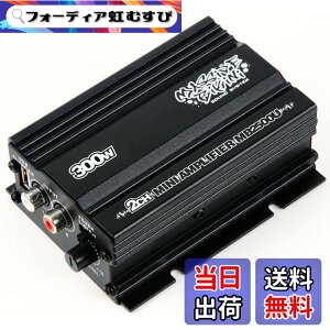 �y���������z�o�C�N�p �o�C�N ���^ �A���v �I�[�f�B�I 300W USB �[�d iPhone �X�}�z�Ή� �r�b�N�X�N�[�^�[ �}�O�U�� �}�W�F�X�e�B125 �A�h���Xv125g ���t �f�B�I �W���O pcx125 �t���[�W���� �X�J�C�E