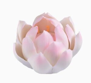 yzspeed mao  @ F  낤 z_[  N[[V Ȃǂ sN