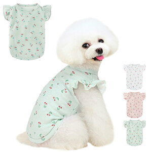 �y���������zAmzBarley �� �� �t �V���c ���� �������ڕ� �t������ ���E���h�l�b�N ���� �m�� ���^�� ���^�� �� �t�� �_�炩�� �ʋC�� �L�k�� �y�� �y�b�g�� �����іh�~ �O�h�� �� �t�� ���� 