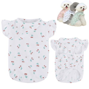 yzAmzBarley   t Vc  ڕ t EhlbN  m ^ ^  t _炩 ʋC Lk y ybg іh~ Oh  t  