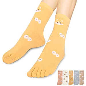 yz[MgDa] 5{w\bNX fB[X Eɂ 5{wC ʋChL t[TCY ~hiR /5F5Zbgj