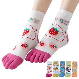 yz[MgDa] 5{w\bNX fB[X Eɂ 5{wC ʋChL t[TCY