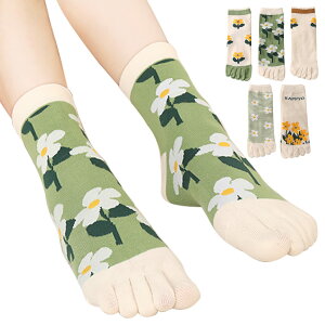 yz[MgDa] 5{w\bNX fB[X Eɂ 5{wC ʋChL t[TCY