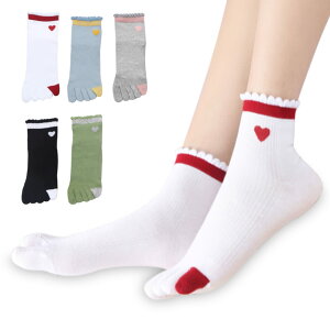 yz[MgDa] 5{w\bNX fB[X Eɂ 5{wC ʋChL t[TCY